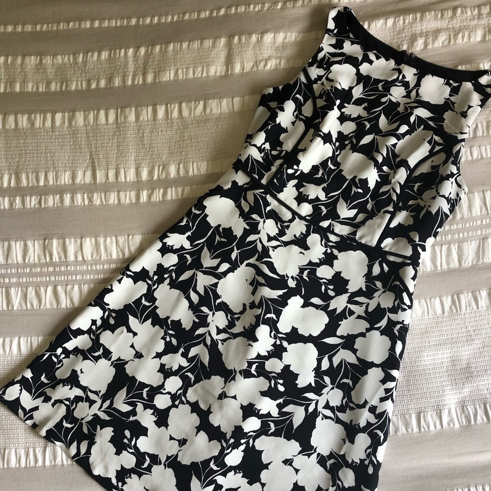 Blue and White Floral Fit n Flare - The Limited